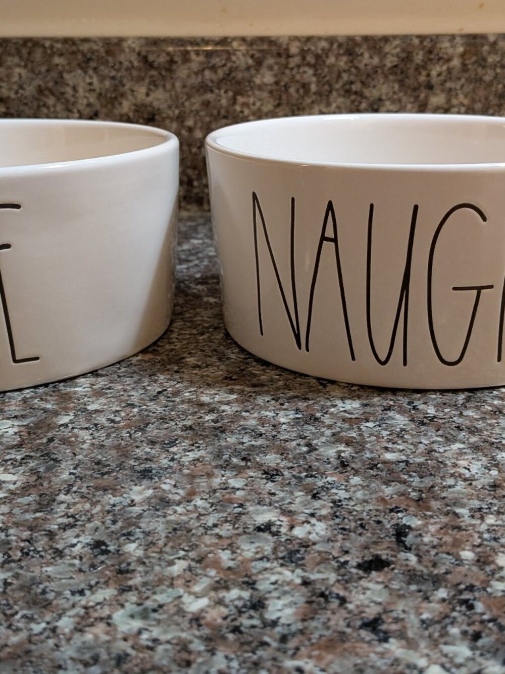 Rae Dunn Naughty Nice Pet Bowl Set of 2 Dog Cat Food Water Bowls Christmas